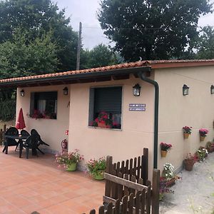 Villa Camino A Casa. à Ribadavia Exterior photo