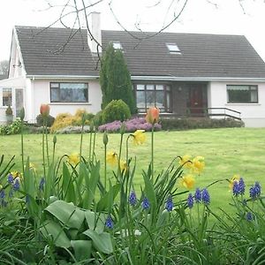 Bed and Breakfast Glen Na Smole à Wicklow Exterior photo