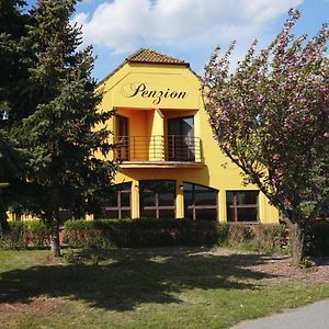 Hotel Leo - Penzion à Jevišovice Exterior photo