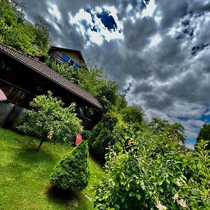 Villa Cabana Vânătorilor à Poiana Mărului Exterior photo