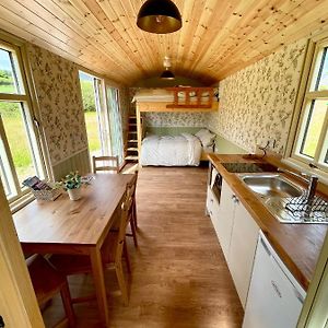 Villa Stepping Stones Glamping 'The Olive' à Bantry Exterior photo