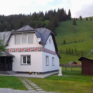 Villa Casa Dumitru Si Elena Ciocanesti Bucovina Exterior photo