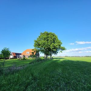 Bed and Breakfast Bed&Breakfast de Vink à Terschuur Exterior photo