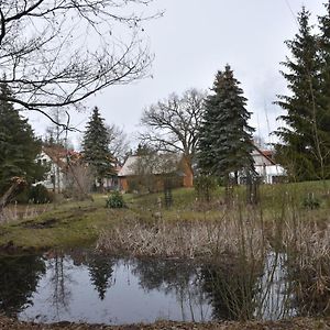 Villa Gosciniec Pod Debem à Trzciel Exterior photo