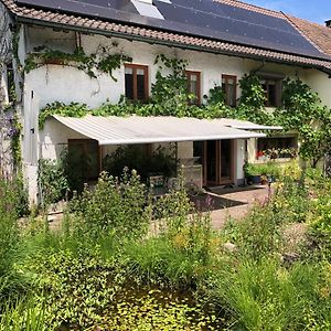 Villa Ferienhaus Mit Naturgarten à Dachsen Exterior photo