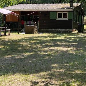 Maison d'hôtes Charmant bungalow entre océan, estuaire et vignes à Saint-Vivien-de-Médoc Exterior photo