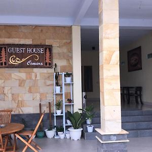 Guest house Cemara Pasuruan Exterior photo