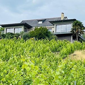 Villa Maison des Coteaux blancs à Chaudefonds-sur-Layon Exterior photo