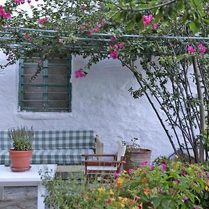 Appartement Apatouria Farmhouse à Apikia  Exterior photo