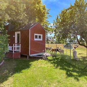 Villa Tiny House Auf Der Alpaka Farm à Rubkow Exterior photo