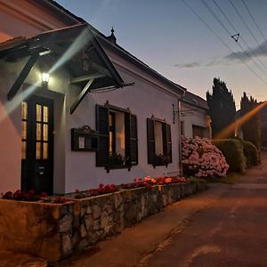 Bed and Breakfast Gomba Panzio à Velem Exterior photo