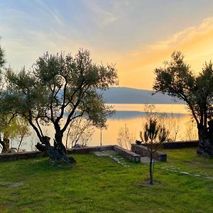 Villa Seafront Traditional Stone House In Sunset Olive Grove - B à Alyfanta Exterior photo