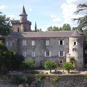 Bed and Breakfast Le Château de Cambiaire à Saint-Etienne-Vallee-Francaise Exterior photo