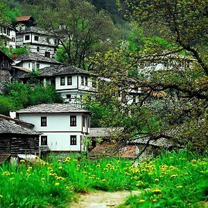 Villa Yakusha - Якуша, Къща За Гости à Shiroka Lŭka Exterior photo