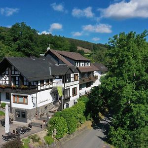 Hotel Landidyll Landhaus Liesetal à Hallenberg Exterior photo