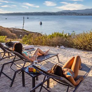 Villa Hippocampe Sanary-sur-Mer Exterior photo