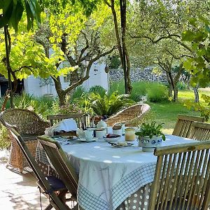 Bed and Breakfast la maison des Olivettes à Uzès Exterior photo