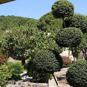 Les Jardins De Santa Giulia - Charmante chambre d'hôte Porto-Vecchio  Exterior photo