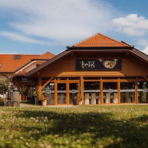 Hotel Gostisce Irsic à Slovenska Bistrica Exterior photo