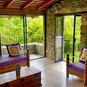 Bed and Breakfast Casa Camino A Las Pozas à Xilitla Exterior photo