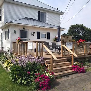Maison d'hôtes The Coastal Country House In New Brunswick à Cape Tormentine Exterior photo
