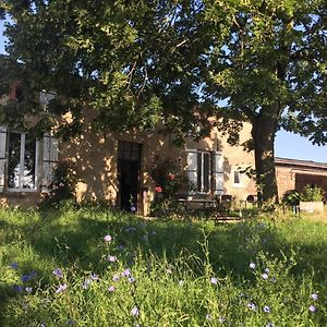 Chambres d'hôtes Les Pieds dans l'herbe Saint-Julien-Gaulene Exterior photo