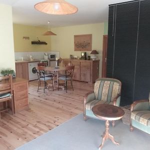 Appartement 45m2, à la campagne, à 15 mns du Puy en Velay Lantriac Exterior photo