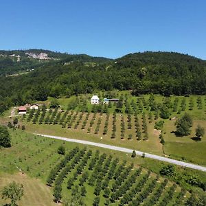 Maison d'hôtes Kljajevica Orchard à Pljevlja Exterior photo