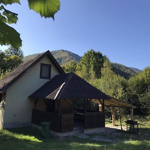 Villa Roua - Apuseni Mountains à Pietroasa  Exterior photo