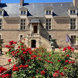 Bed and Breakfast Chateau De Chappe à Les Bois-d'Anjou Exterior photo