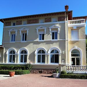 Hotel Château Blanchard à Chazelles-sur-Lyon Exterior photo