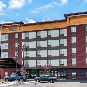 Comfort Inn & Suites Lakewood By Jblm Exterior photo