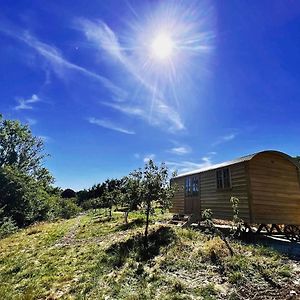 Villa Robins Retreat - Orchard With Hot Tub - See Extras à Alfriston Exterior photo