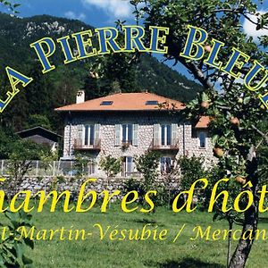La Pierre Bleue / Chambres d'hôtes Saint-Martin-Vésubie Exterior photo