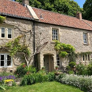 Bed and Breakfast Maplestone à Shepton Mallet Exterior photo