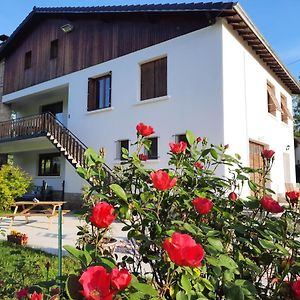 Maison d'hotes et Gîte près de Saint Girons - Le Jardin de Moulis Exterior photo