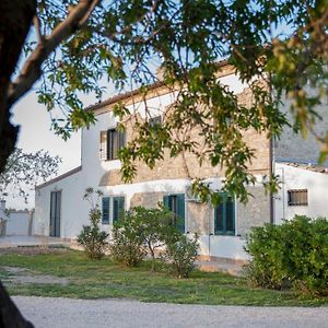 Bed and Breakfast Masseria Piana Cimino à Pietra Montecorvino Exterior photo