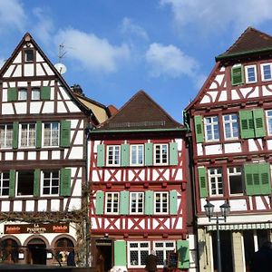 Aparthotel Gaestehaus Am Marktbrunnen à Bretten Exterior photo