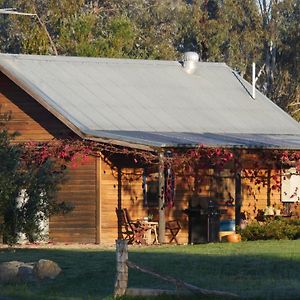 Villa Candlebark Retreat à Beechworth Exterior photo