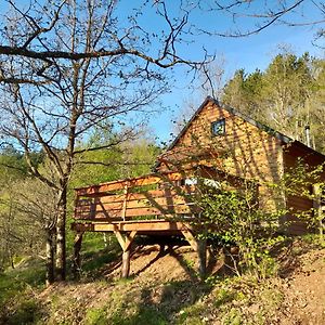 Villa Mon chalet au cœur des Cévennes à Vebron Exterior photo