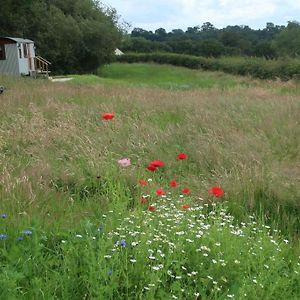 Villa Little Idyll Shepherds Hut à Chester Exterior photo