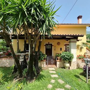 Bed and Breakfast Il Ruscello à Maratea Exterior photo