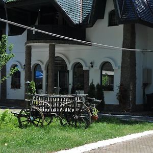 Hotel Domeniul Jales à Sanatesti Exterior photo