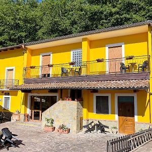 Hotel Casa Elisabetta Bosco Magnano à San Severino Lucano Exterior photo