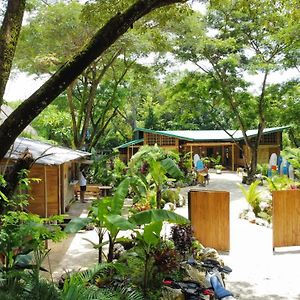 Hotel Bamboo Surf House - Walk To The Beach à Playa Santa Teresa  Exterior photo