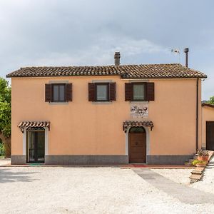 Bed and Breakfast Bed & Breakfast In Vino Veritas à Arcevia Exterior photo