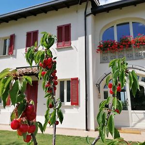 Bed and Breakfast La Mafalda In Oltrepo à Codevilla Exterior photo