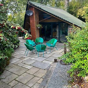 Appartement The Shed . A Cosy, Peaceful, 96% Recycled, Chalet. à Swansea Exterior photo