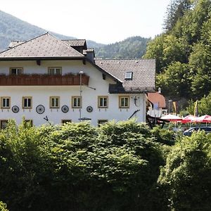 Hotel Ferienhaus An Der Ybbs à Opponitz Exterior photo