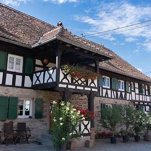 Chambres d'hôtes de charme à la ferme Freysz Quatzenheim Exterior photo